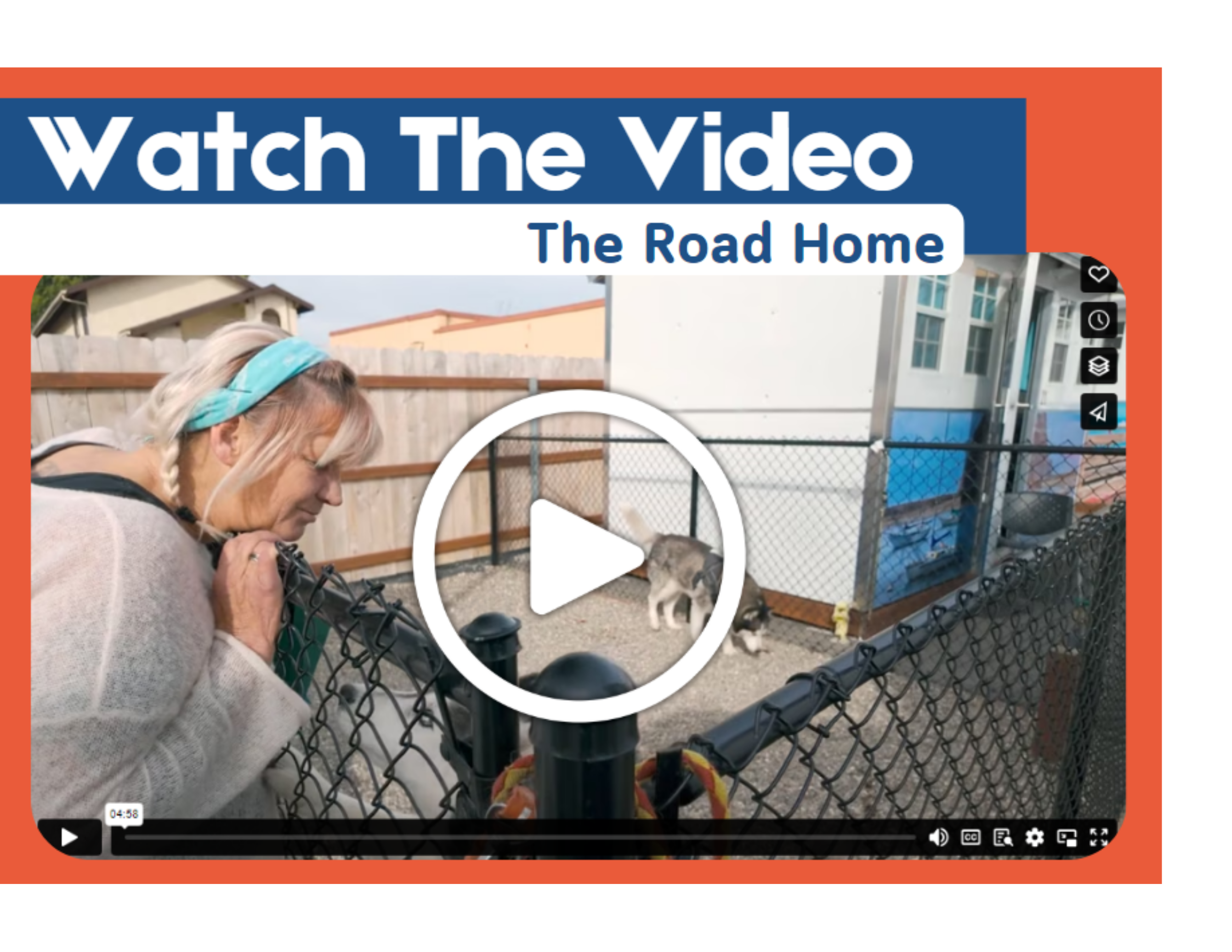 Kristen watching her dogs at Cabins for Change in Grover Beach.